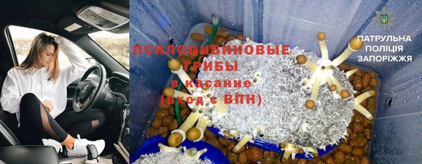 ГАЛЛЮЦИНОГЕННЫЕ ГРИБЫ Алексин