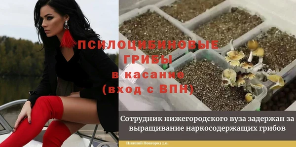 дмт Алексеевка